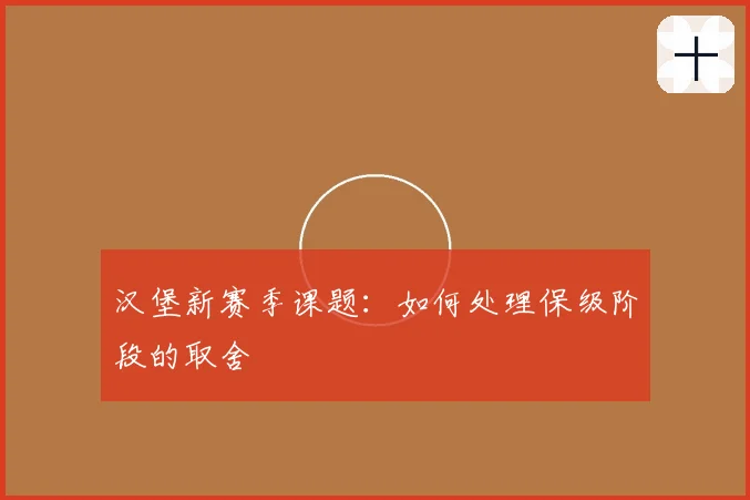 汉堡新赛季课题：如何处理保级阶段的取舍